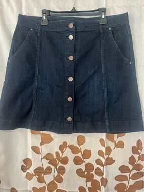 Dark Blue Button-Front Denim Skirt Size 12